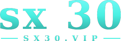 sx 30 logo